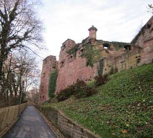 Schloss Heidelberg
