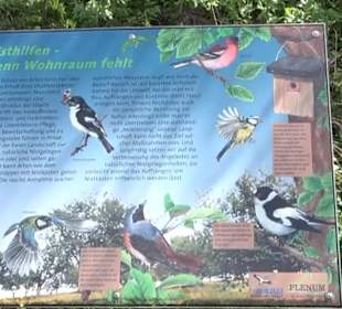 Naturerlebnisweg des NABU-Metzingen