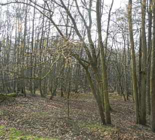 Wunderschöne Boberger Niederung