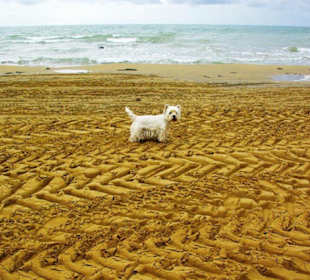 Ende September 2010 Impressionen