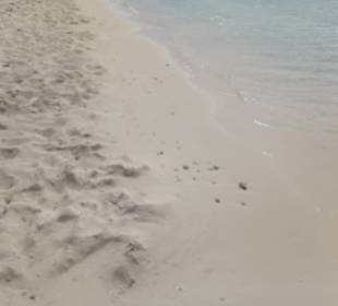 Bahia de las Aguilas