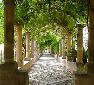 Laubengang, den man beregnen kann (Druckknopf) 