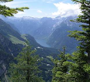 Blick auf den Königssee