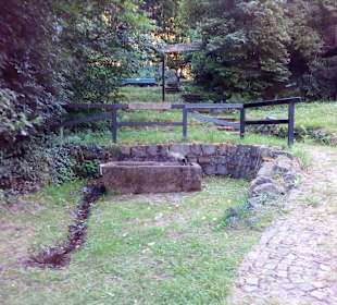 Natur und Vogellehrpfad Längwieser Wald Dittweiler