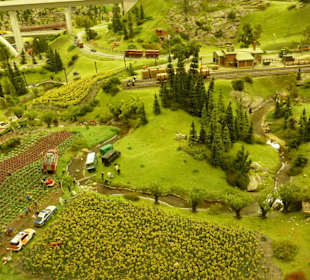 Gemüsebauer & Sonnenblumenbeet