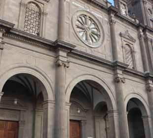 8 Hunde „bewachen“ die Kathedrale Santa Ana