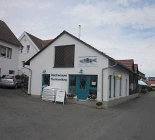 Insel Reichenau Fischer