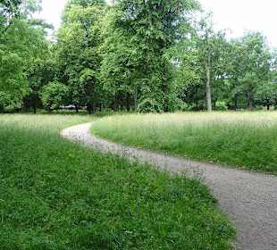Hochgewachsenes Gras zum Schutze der Krokusse
