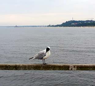 Ausblick Seebrücke Bansin