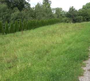 Themenweg Kaiserweg Zimmern