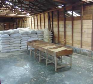 Doka Estate Kaffeeplantage