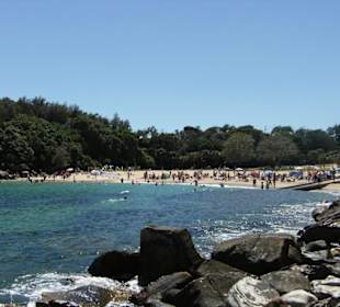 Shelly beach a manly