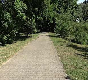 Schlosspark Hohenheim