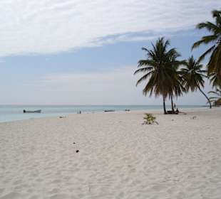 Saona einsamer Strand
