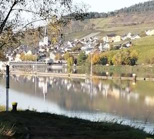 Wandern Burg (Mosel)