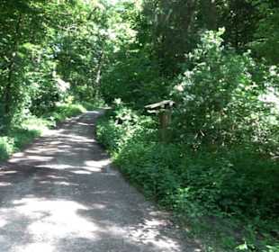 Eduard Lucas Musterobstgarten Mähringen