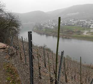 Wandern Ellenz-Poltersdorf