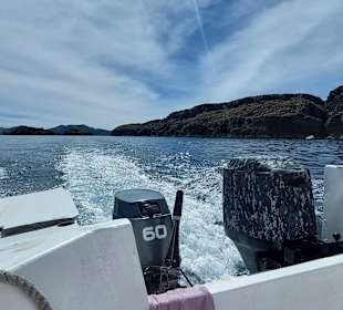 Der Weg ist das Ziel