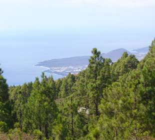 Blick nach Candelaria