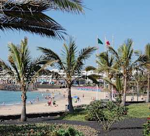 Strand wenige Meter entfernt