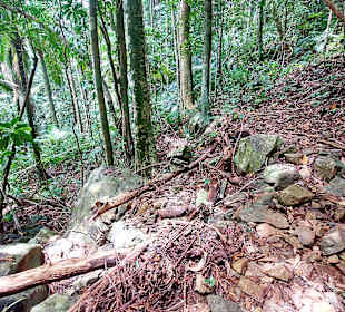 Parque Natural Obô do Príncipe