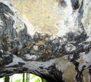 Die Oswaldhöhle 60 Mtr. Länge