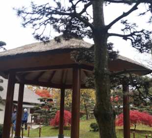 Parkanlage Planten un Blomen