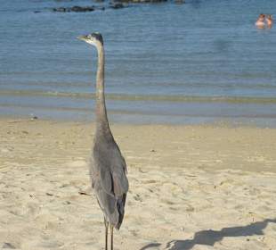 Ich passe auf euch auf