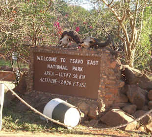 Eingang Tsavo Ost