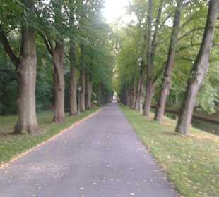 Wege und Parkanlage Schloß Nordkirchen