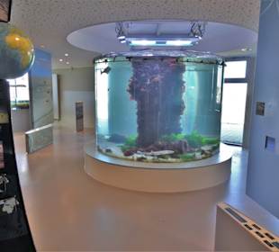 Das Rundaquarium im Nationalpark-Haus