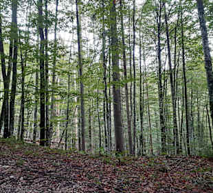 Wandern Rossleithen