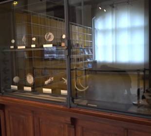 Museum für Naturkunde