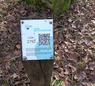 Alter Abteilungsstein 1