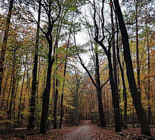 Wandern Zwenzow