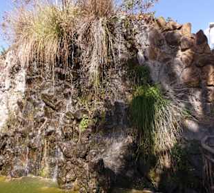 Wasser rieselt von oben