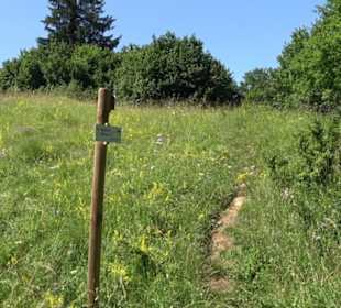 Naturerlebnispfad Sternberg