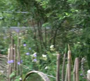 ALB-GOLD Naturgarten