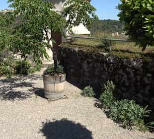 Bastionsgarten