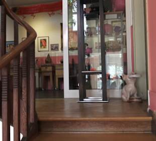 SchweineMuseum