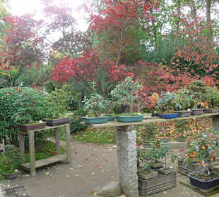 Herbst