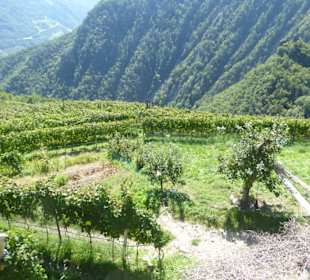 Restaurant Rielinger Hof