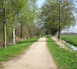 Impressionen vom Weg um den Hasportsee