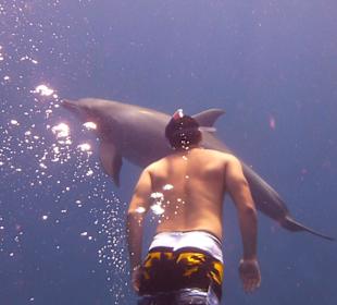 Hallo ich grüsse Fipper....