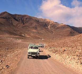 Jeep-Discovery Safari