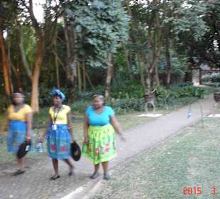 Krüger Nationalpark