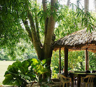 Nature Complete Tour 