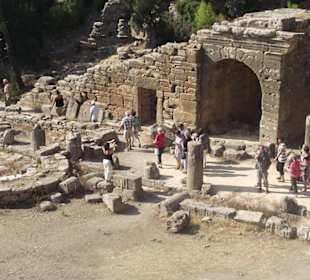 Die Angora von Seleukeia