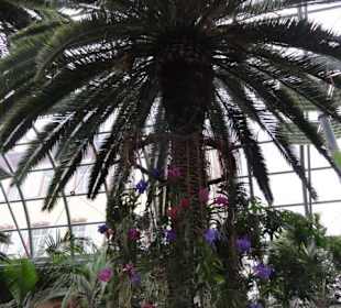 Insel Mainau im Mai