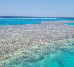 Glasbodenboot Tour Seascope Makadi Bay